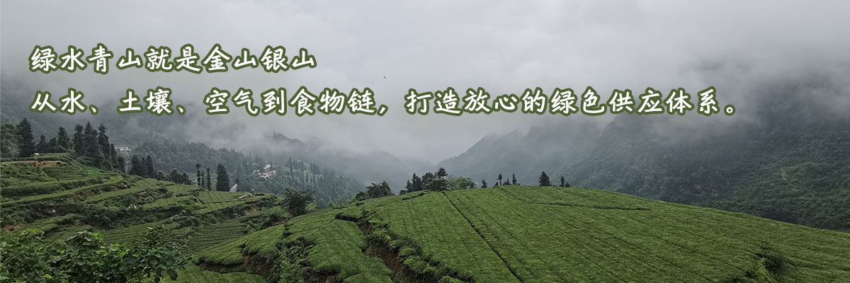 首页banner